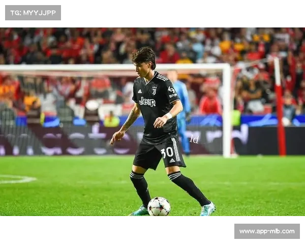 霍尔姆融入尤文顺利，感谢队友教练帮助目标留队